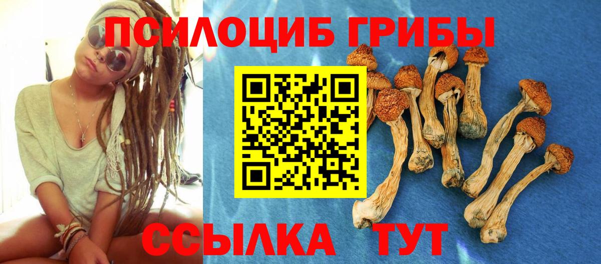 Галлюциногенные грибы прущие грибы  купить   Краснокаменск  Вход с VPN 