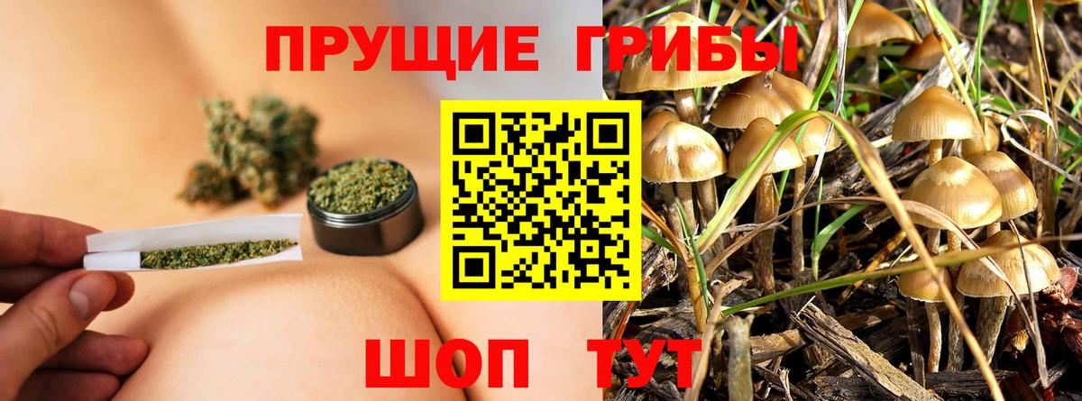 Псилоцибиновые грибы MAGIC MUSHROOMS Краснокаменск